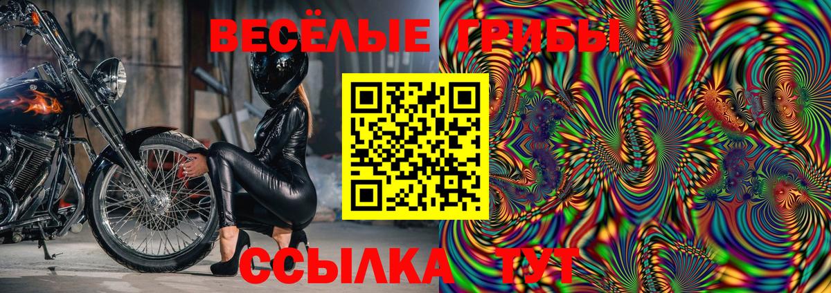 Белгород  Псилоцибиновые грибы мухоморы  Вход с VPN 